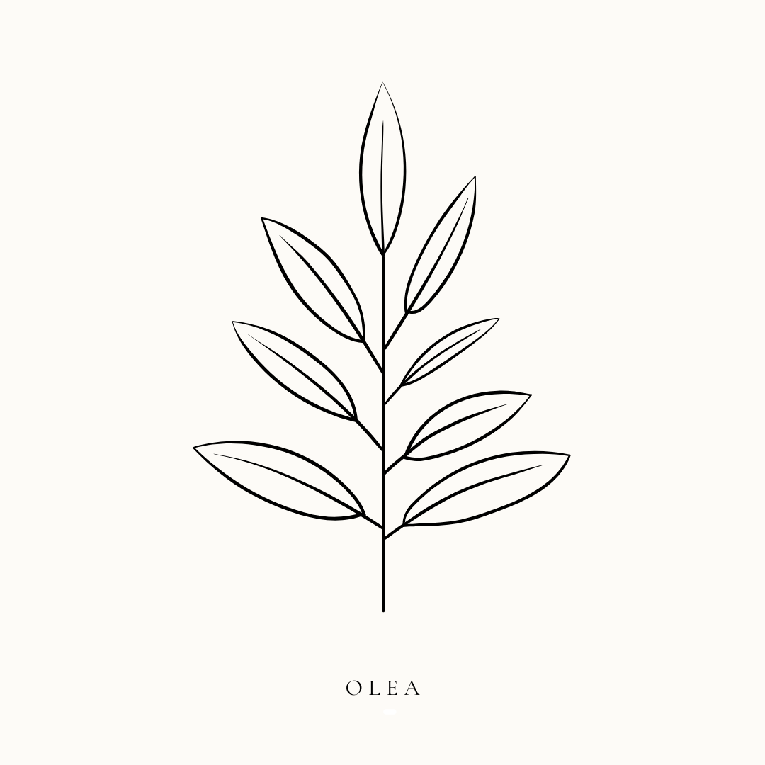 OLEA – THE TIMELESS LUXURY MEDITERRANEAN SUITE
