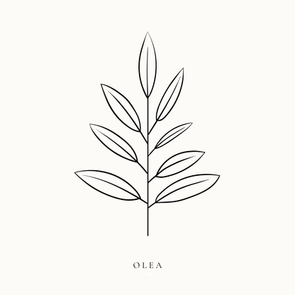 OLEA – THE TIMELESS LUXURY MEDITERRANEAN SUITE