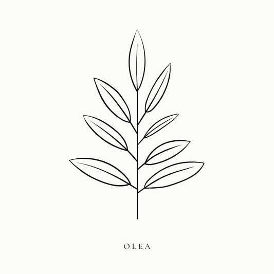 OLEA – THE TIMELESS LUXURY MEDITERRANEAN SUITE