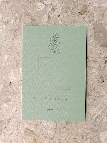 BOTANICA – THE ELITE SAGE GREEN ORGANIC BISTRO SUITE