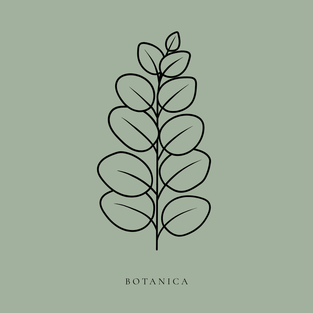 BOTANICA – THE ELITE SAGE GREEN ORGANIC BISTRO SUITE