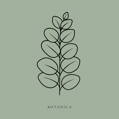 BOTANICA – THE ELITE SAGE GREEN ORGANIC BISTRO SUITE