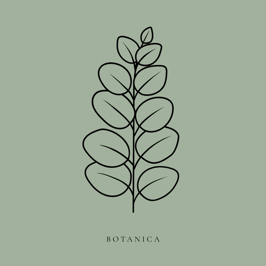 BOTANICA – THE ELITE SAGE GREEN ORGANIC BISTRO SUITE