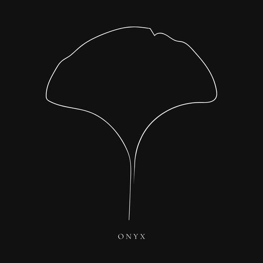 ONYX – THE ELITE HIGH-END SUSHI & FUSION SUITE
